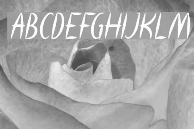 HEART SHAPED Italic Font examples