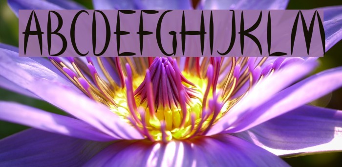 HEART SHAPED-Light Font examples