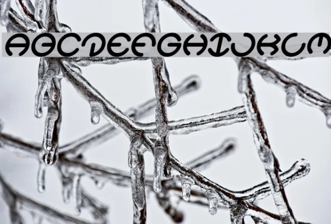 HEATHER THOMAS Bold Italic Example 1