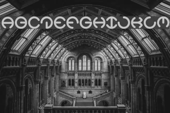 HEATHER THOMAS Bold Font examples