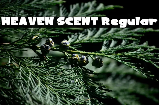 HEAVEN SCENT Regular Example 2