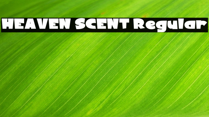 HEAVEN SCENT Regular Example 3