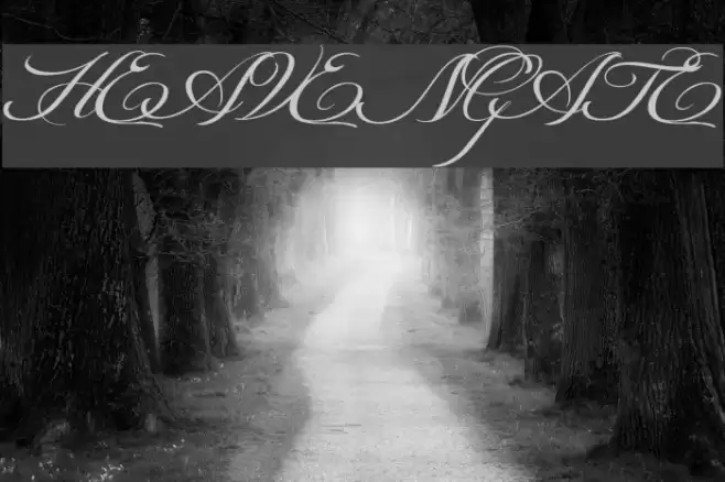 HEAVENGATE Font examples