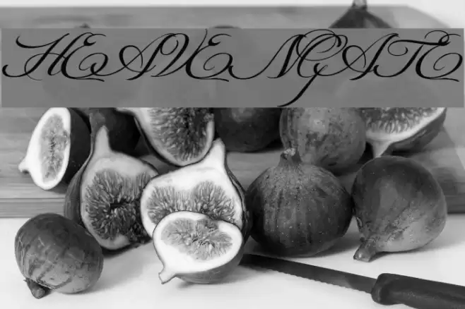 HEAVENGATE Font examples