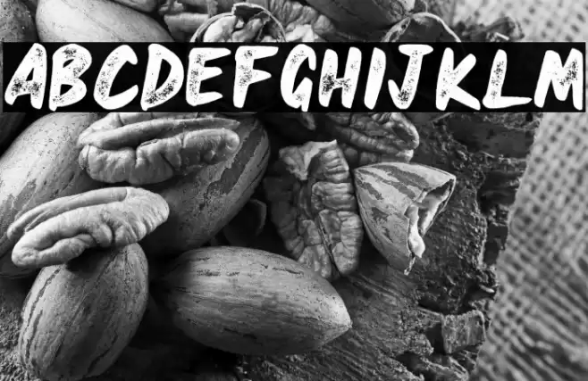 HEAVYRUST ROUGH Font examples