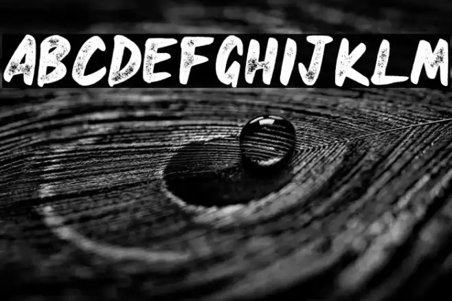 HEAVYRUST ROUGH Font examples