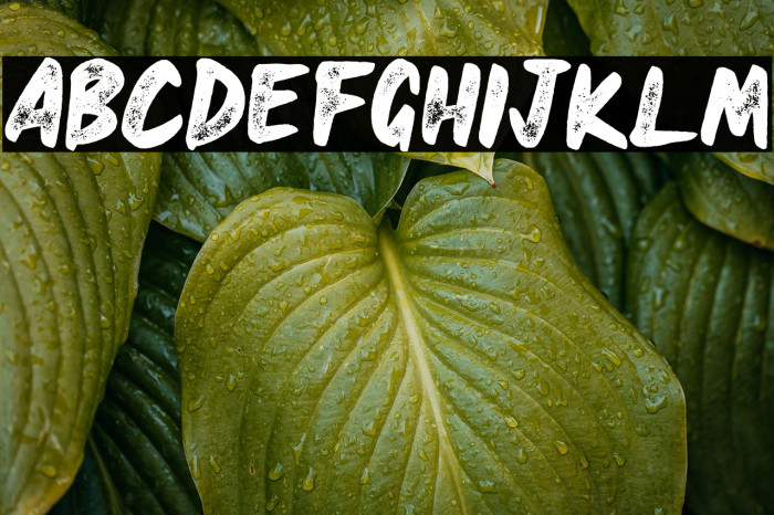 HEAVYRUST ROUGH Example 1