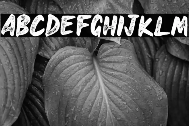 HEAVYRUST ROUGH Font examples