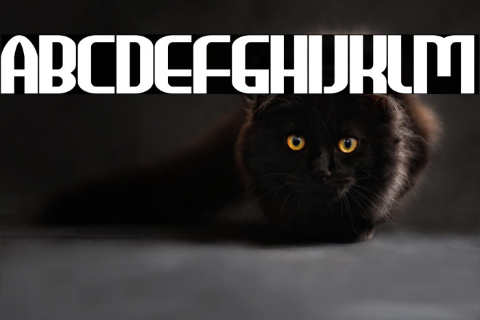 HEAVYwood Bold Example 3