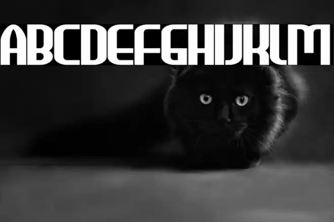 HEAVYwood Bold Font examples