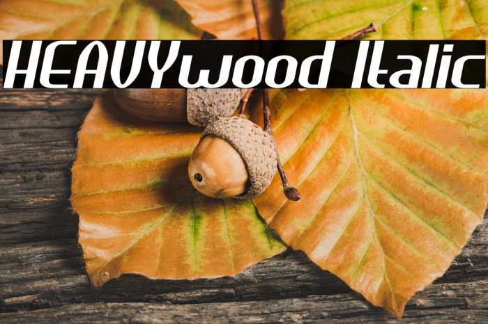 HEAVYwood Italic Example 1