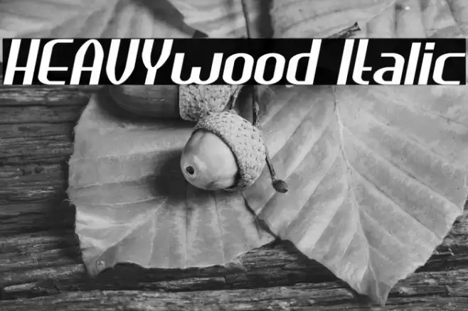 HEAVYwood Italic Font examples