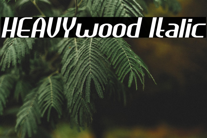 HEAVYwood Italic Example 2