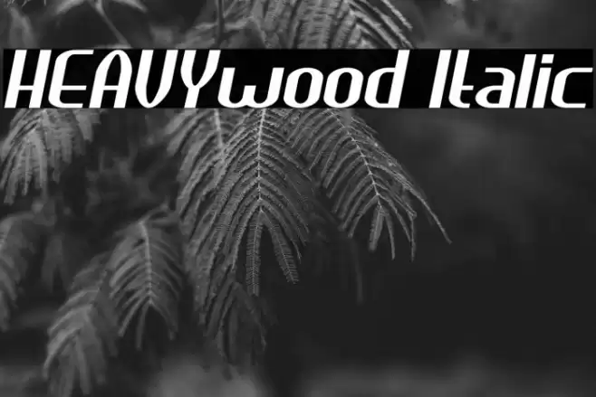 HEAVYwood Italic Font examples