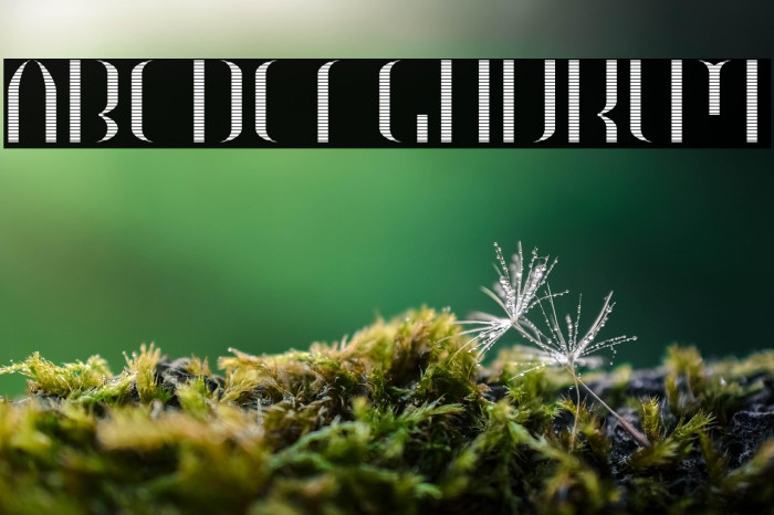 HEAVYwood engraved fill Example 2