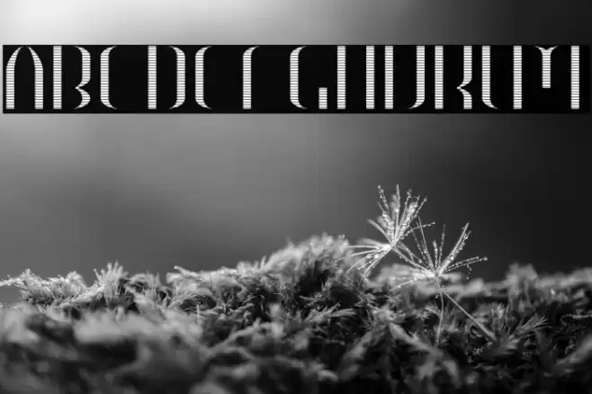 HEAVYwood engraved fill Font examples