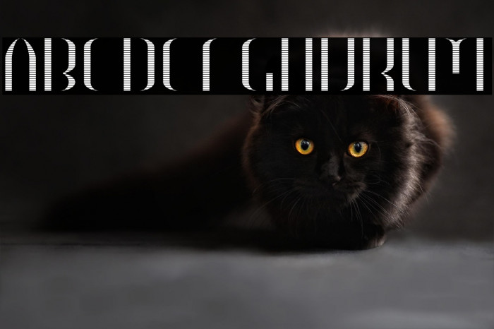 HEAVYwood engraved fill Example 3