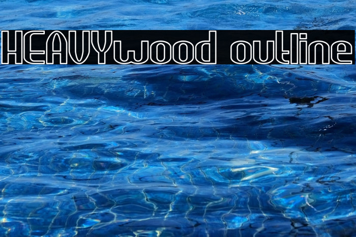 HEAVYwood outline Example 2