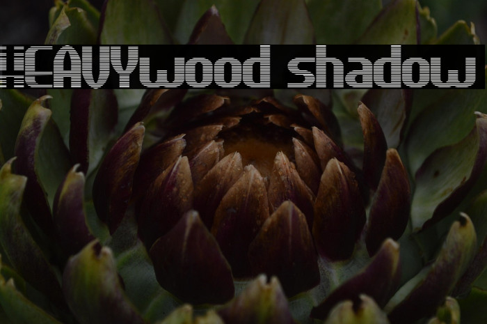 HEAVYwood shadow Example 1