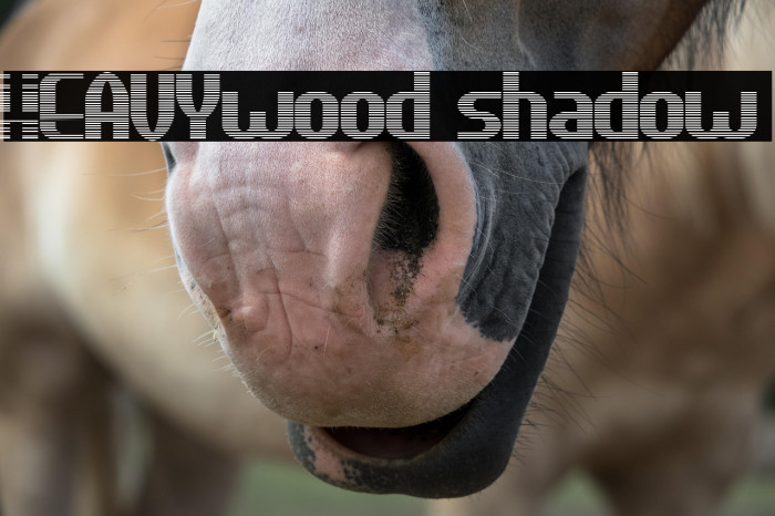 HEAVYwood shadow Example 2