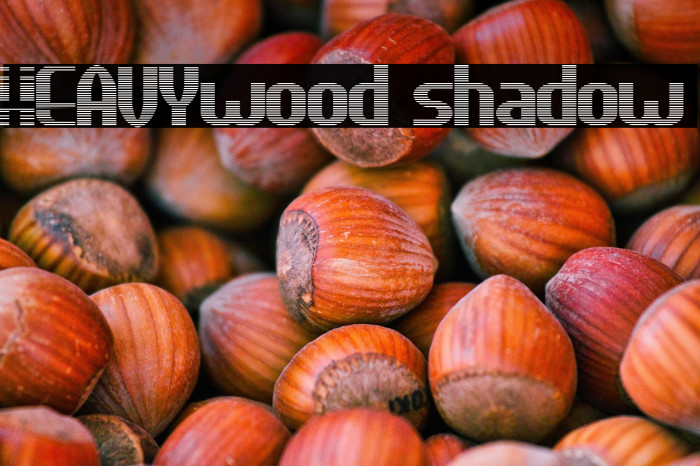 HEAVYwood shadow Example 3