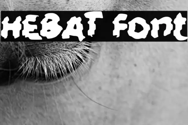 HEBAT Font examples