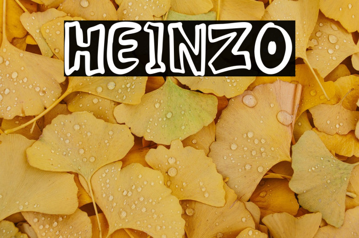 HEINZO Example 1