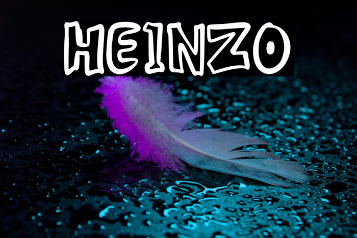 HEINZO Example 2