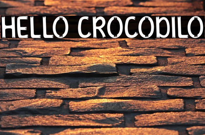 HELLO CROCODILO Example 1