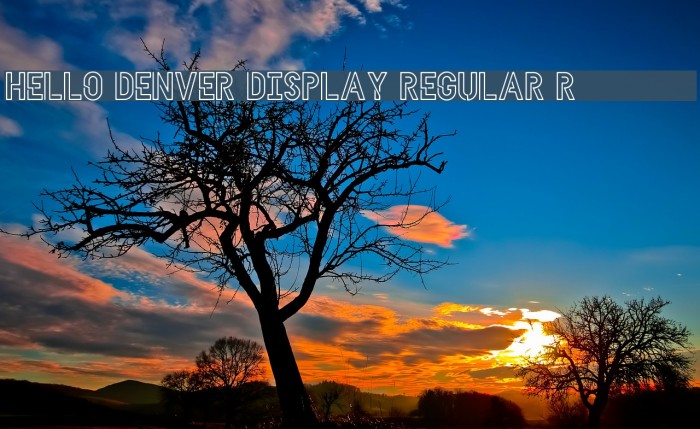 HELLO DENVER DISPLAY REGULAR Regular Font examples