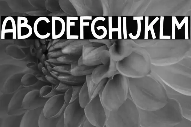 HELLO GIRAFFE Font examples