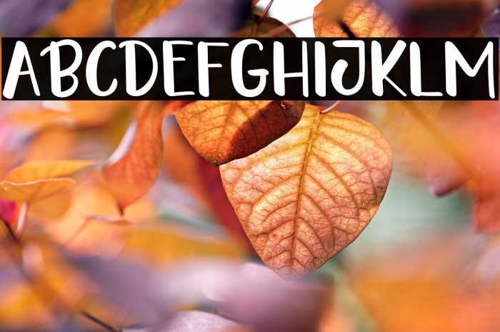 HELLO JUCKY Example 3