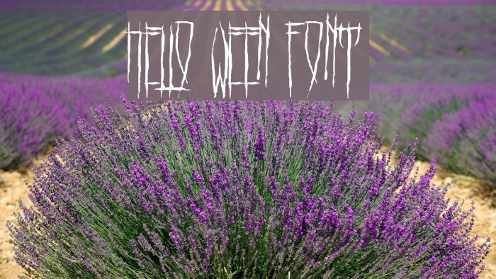 HELLO WEEN FONT Example 1