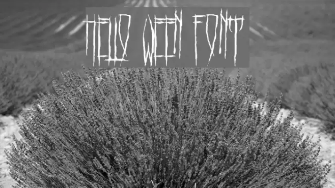 HELLO WEEN FONT Font examples