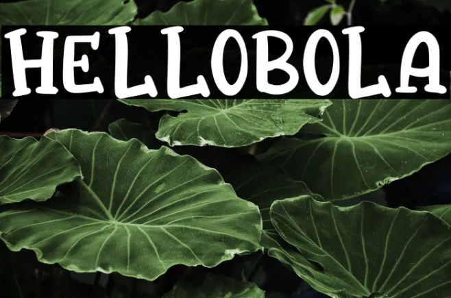 HELLOBOLA Example 2