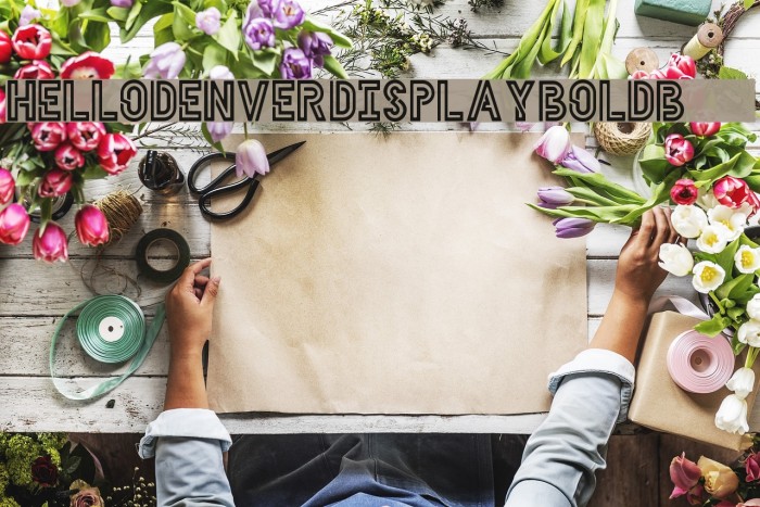 HELLODENVERDISPLAYBOLD-Bold Font examples
