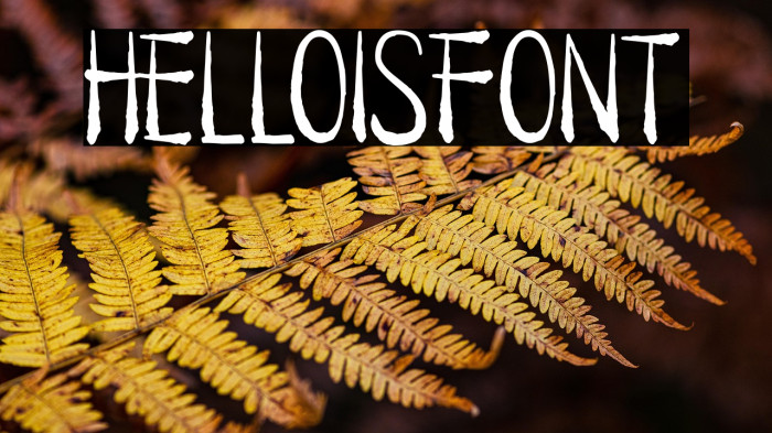 HELLOISFONT Example 2