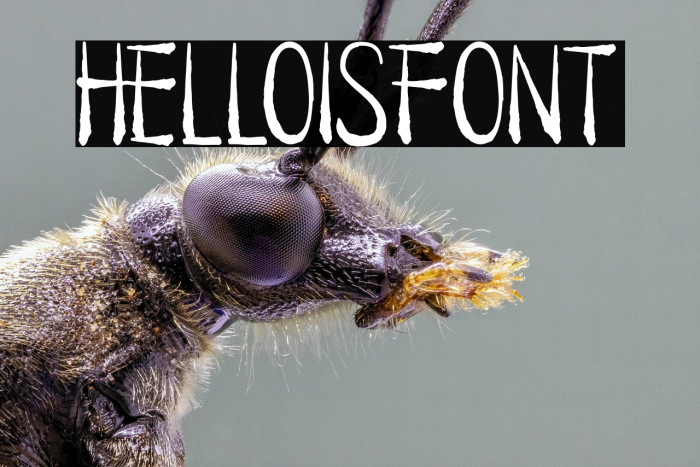 HELLOISFONT Example 3