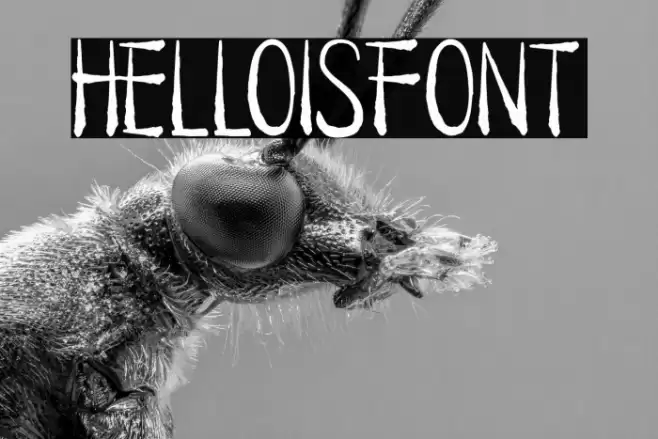 HELLOISFONT Font examples