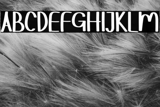 HELLOZORRORegular Font examples