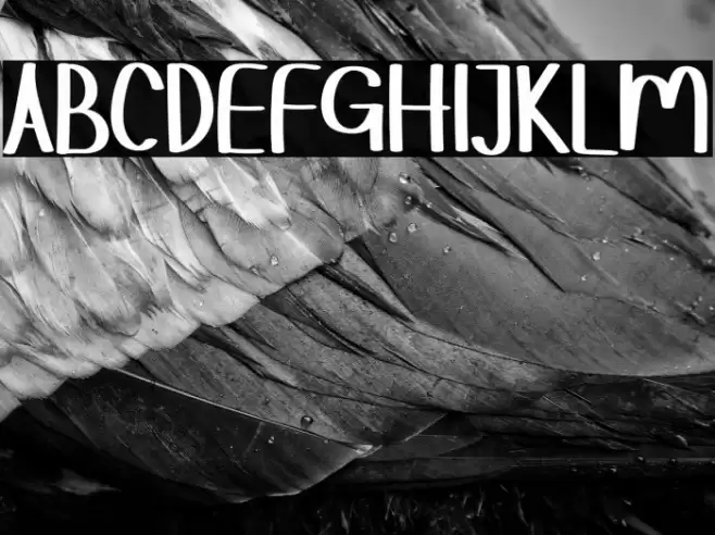 HELLOZORRORegular Font examples