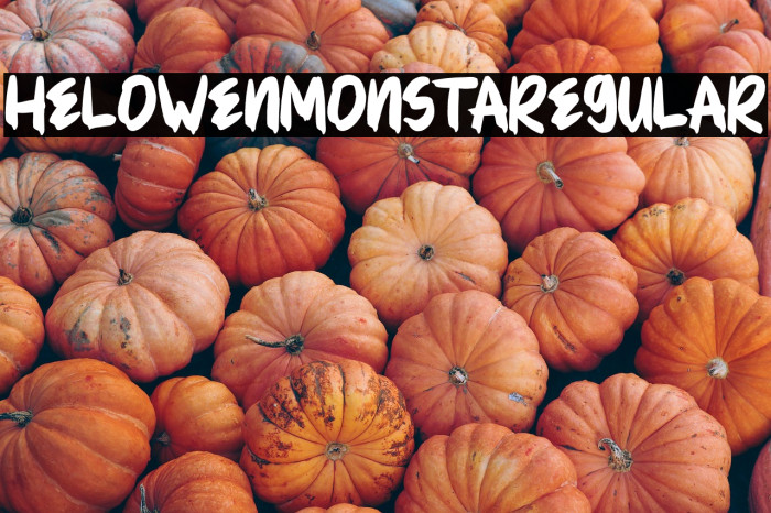 HELOWENMONSTARegular Example 3