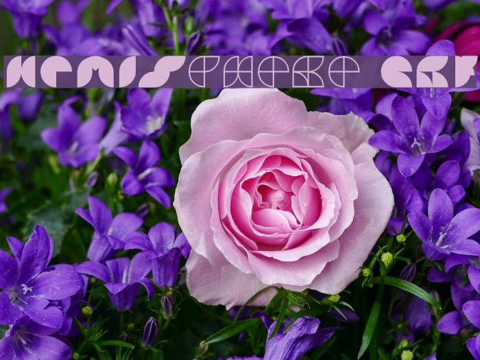 HEMISphere GRF Example 3