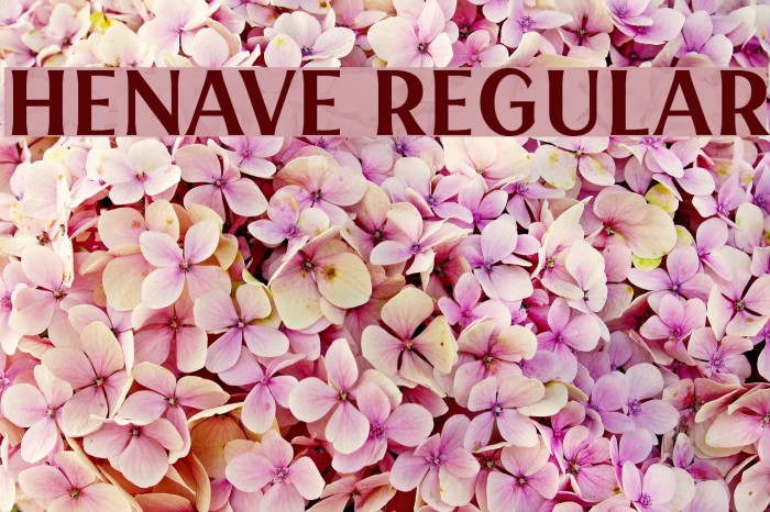 HENAVE Regular Font examples
