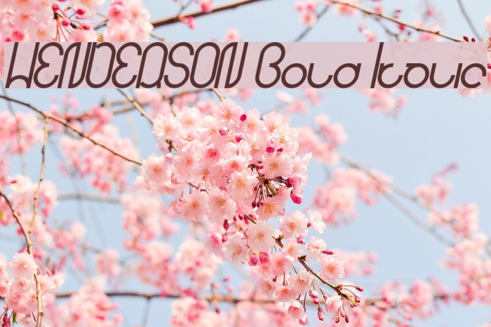 HENDERSON Bold Italic Example 2