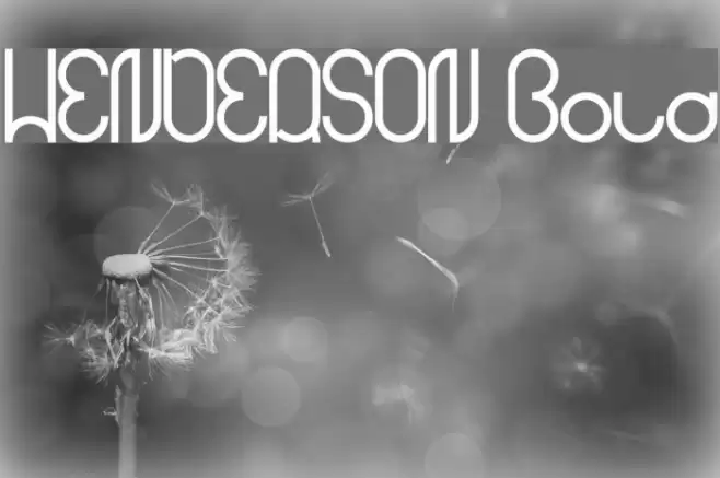 HENDERSON Bold Font examples