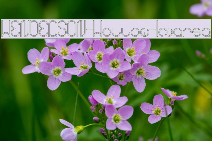 HENDERSON-Hollow-Inverse Example 1