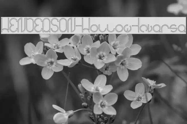 HENDERSON-Hollow-Inverse Font examples