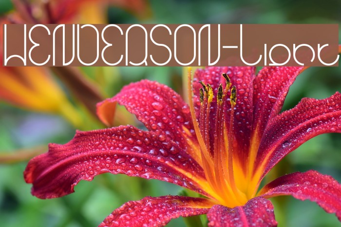 HENDERSON-Light Font examples