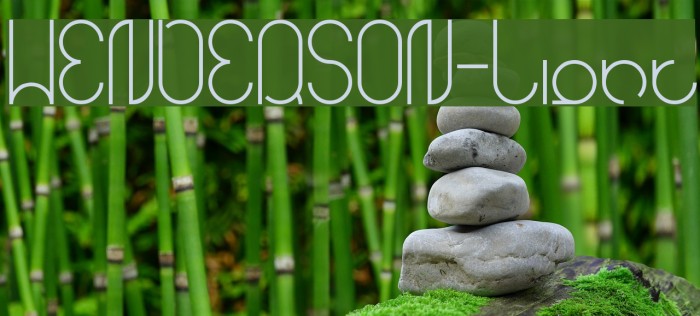 HENDERSON-Light Font examples